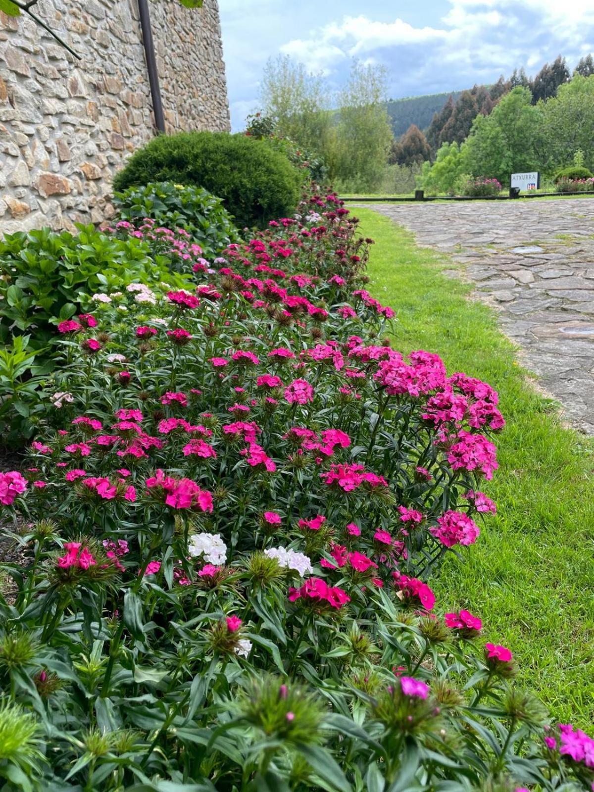 Appart hôtel Rural Atxurra